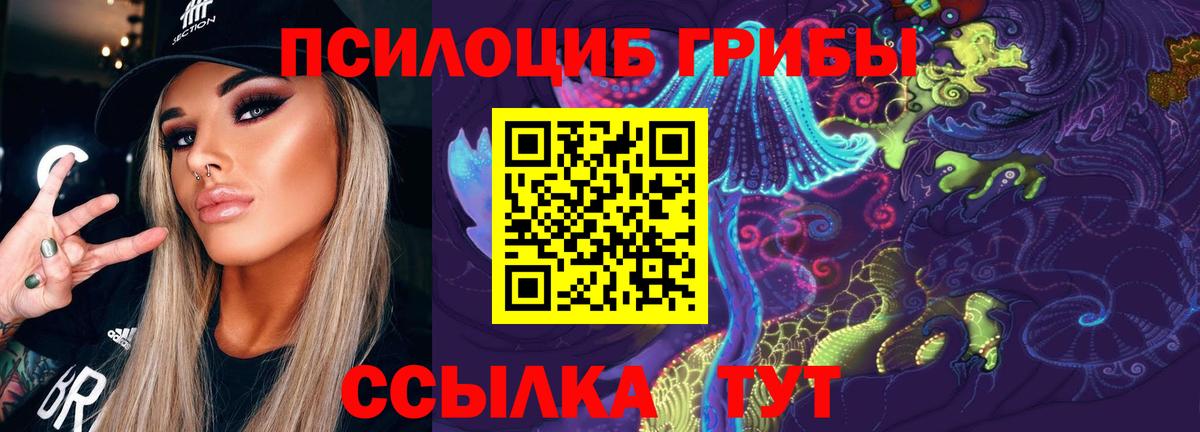Псилоцибиновые грибы мухоморы Петрозаводск